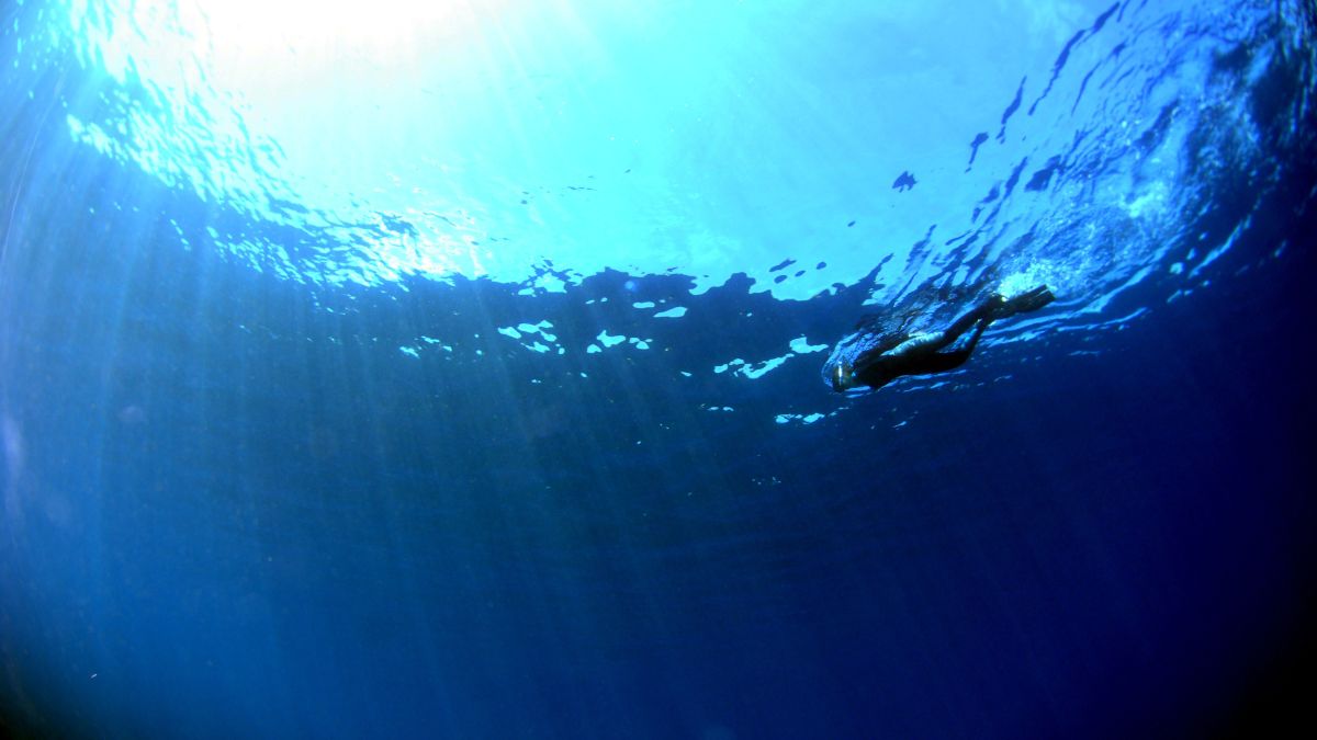 najwyższa podmorska góra na świecie Foto: ocean