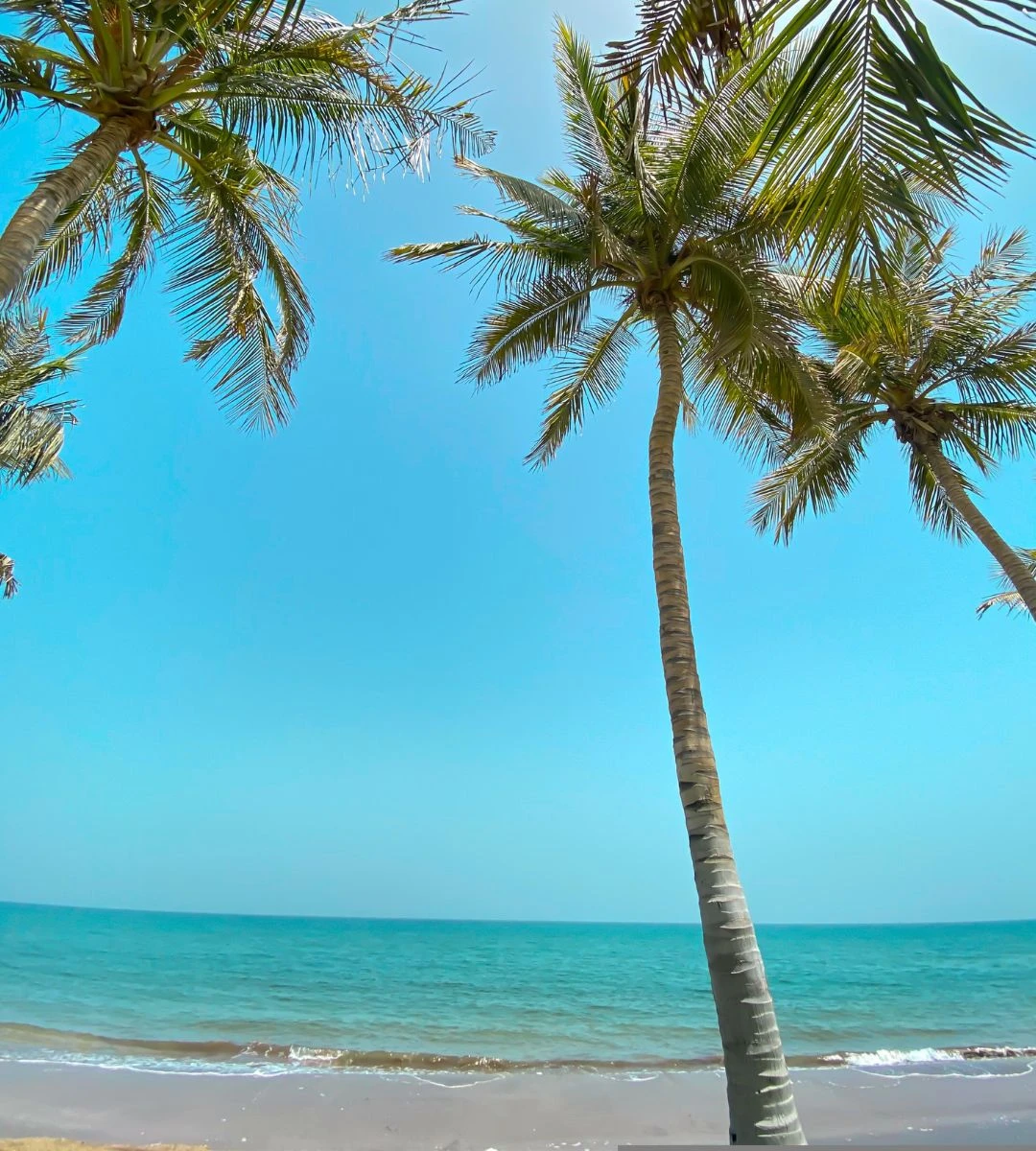 Tutaj przez cały rok jest około 27 stopni Foto: Plaża w Omanie
