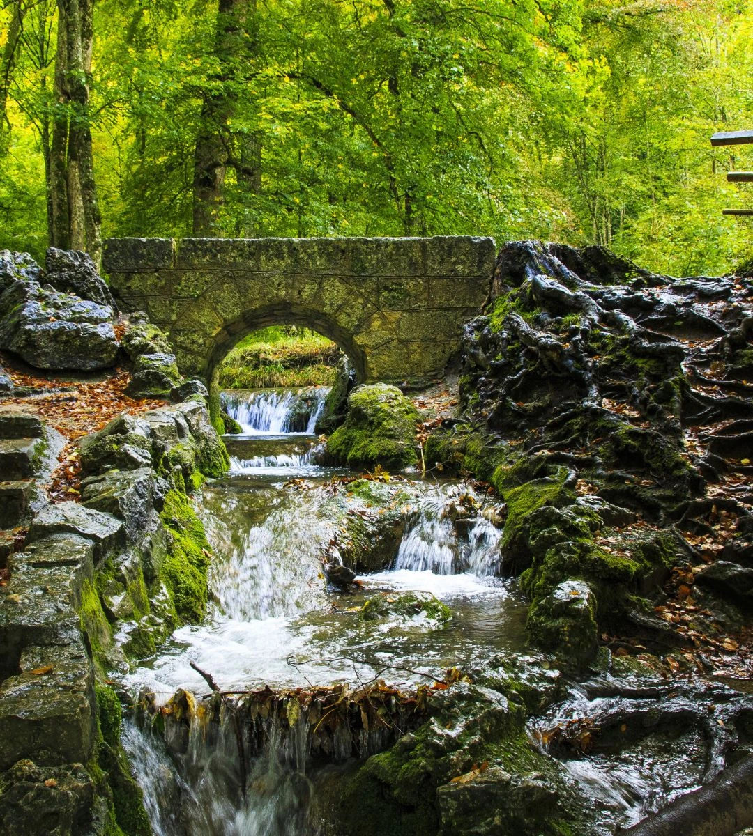 Najciekawsze szlaki turystyczne w Niemczech 2026 Foto: Widok na górski szlak w Niemczech