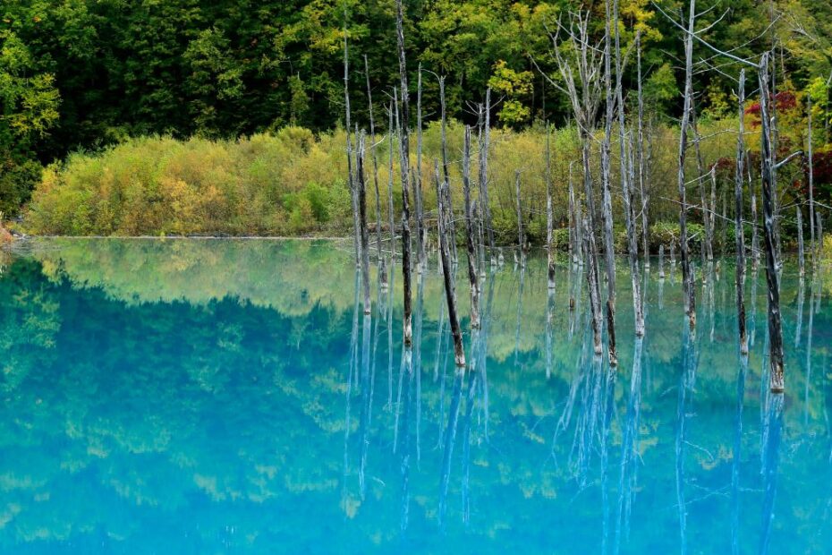 Niemieckie cuda natury Foto: jezioro Blautopf