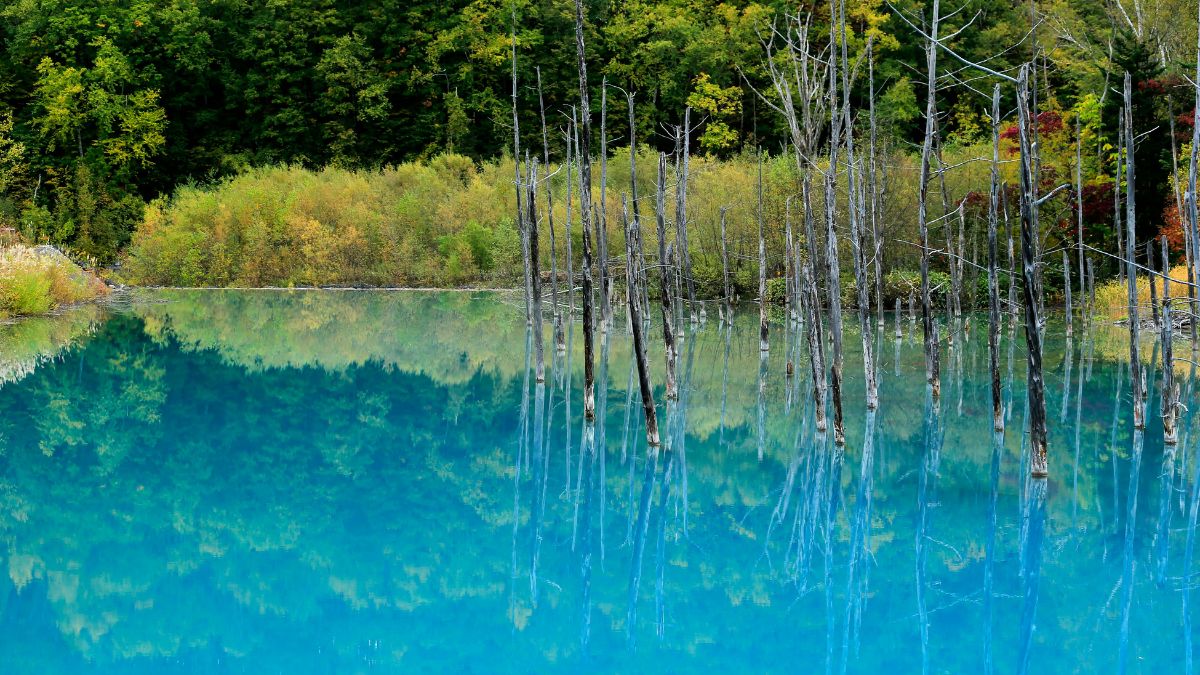 Niemieckie cuda natury Foto: jezioro Blautopf