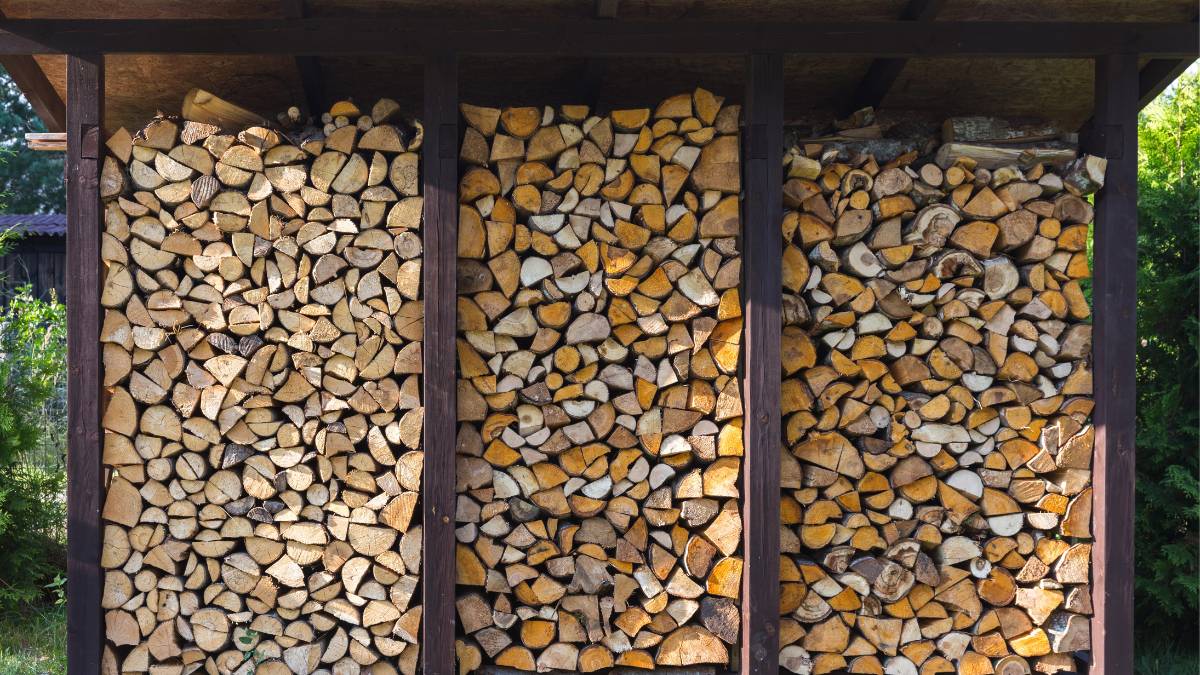 Jesienią pojawią się braki drewna opałowego