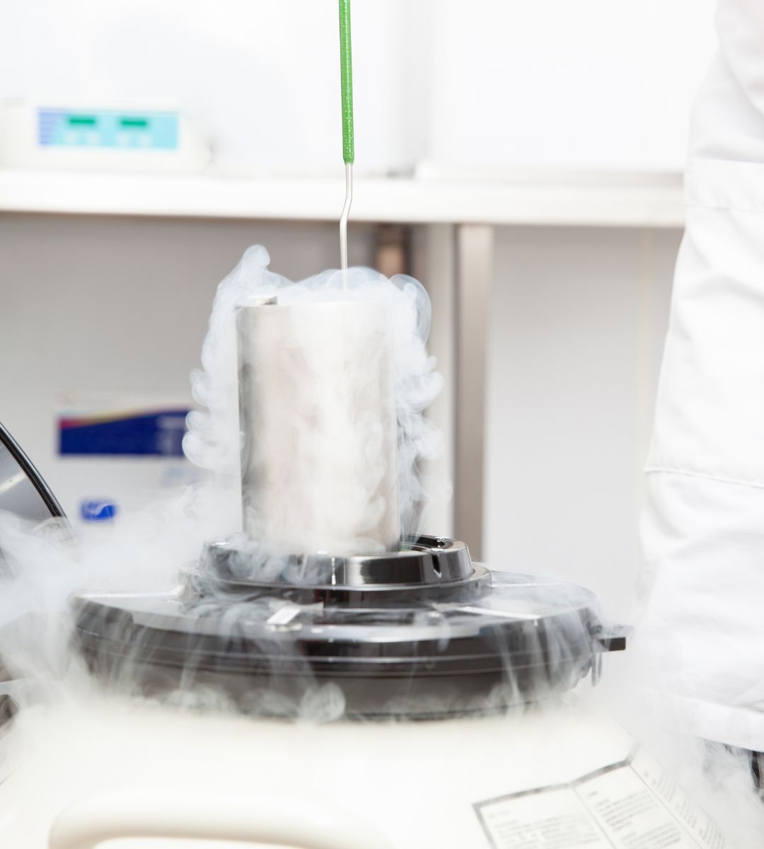 creier înghețat a revenit la viață Foto: procesul de înghețare
Creiere înghețate au „revenit la viață”. Oamenii de știință din Germania au făcut o descoperire