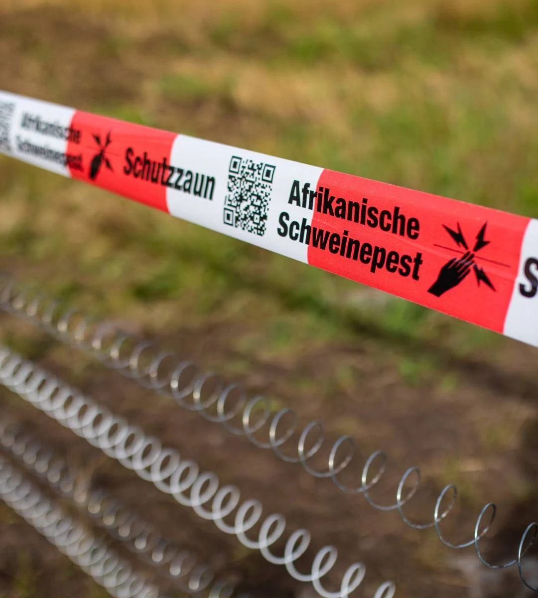 Groźny wirus rozprzestrzenia się w Niemczech