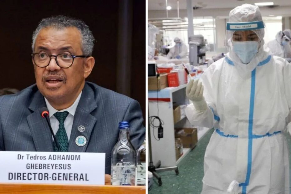 WHO ostrzega przed wybuchem epidemii Eboli