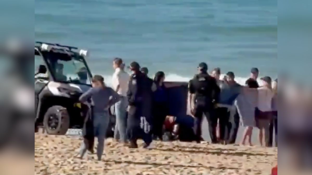 Rekin zaatakował 35-letnią kobietę przy słynnej plaży w Sydney w Australii