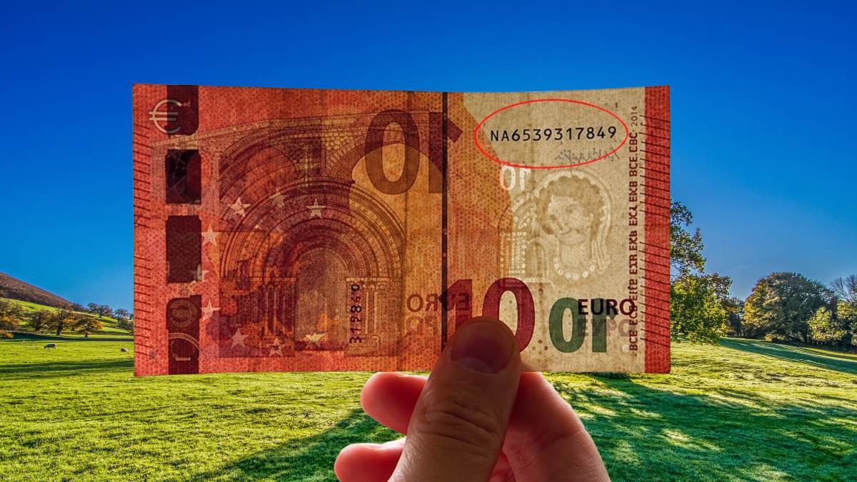 Czy gotówka jest anonimowa