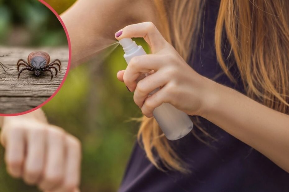 Najlepszy spray na komary i kleszcze