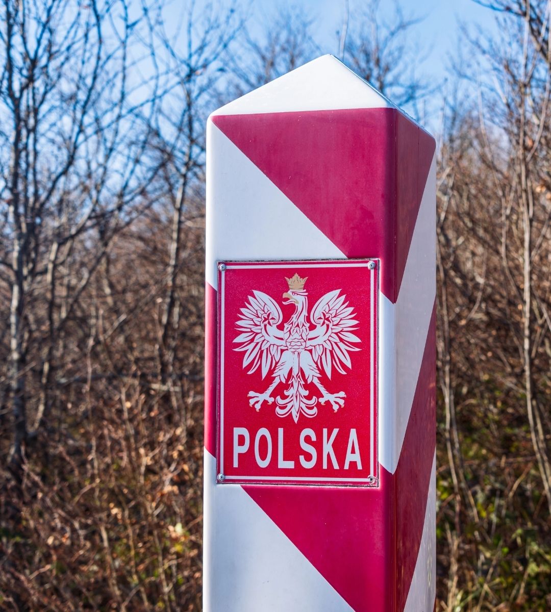 Niemcy wysłali wojska do Polski