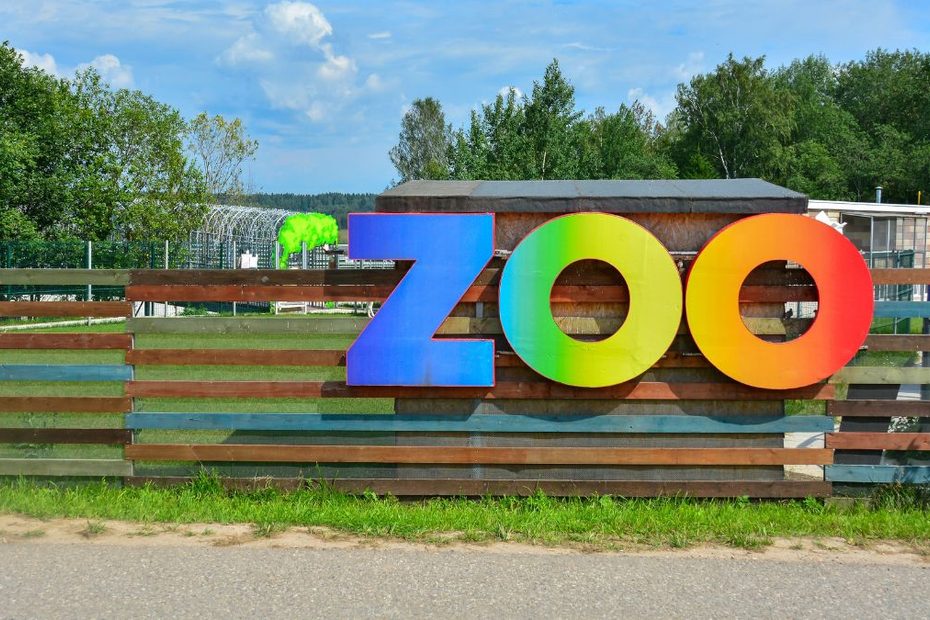Ptasia grypa w niemieckim zoo